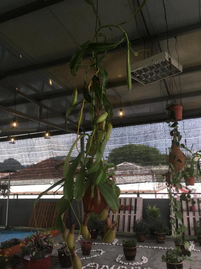 Anderson Hotel Ipoh Eksteriør bilde